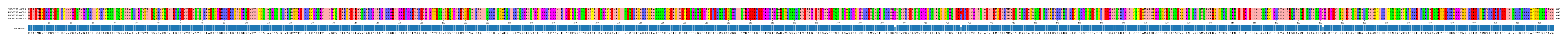 Multiple Alignments (by translate haplotype similarity)