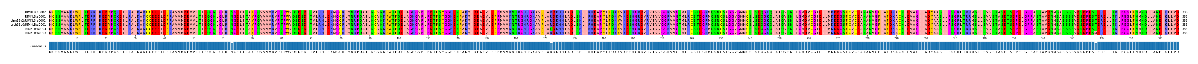 Multiple Alignments (by translate haplotype similarity)