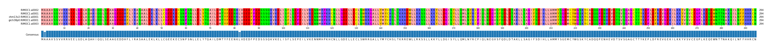Multiple Alignments (by translate haplotype similarity)