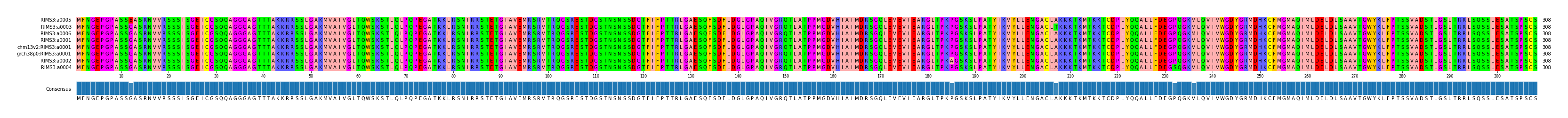 Multiple Alignments (by translate haplotype similarity)
