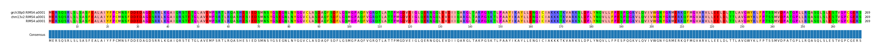 Multiple Alignments (by translate haplotype similarity)
