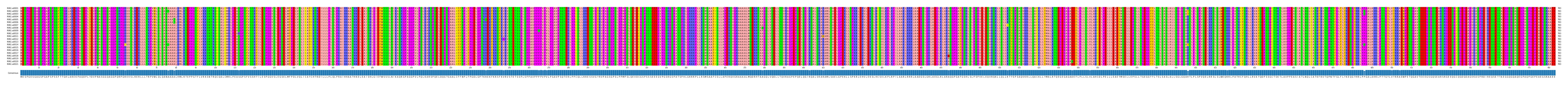 Multiple Alignments (by translate haplotype frequency)