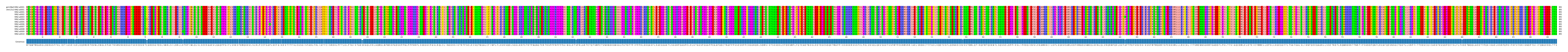 Multiple Alignments (by translate haplotype frequency)