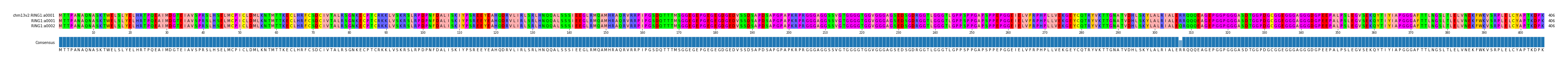 Multiple Alignments (by translate haplotype similarity)