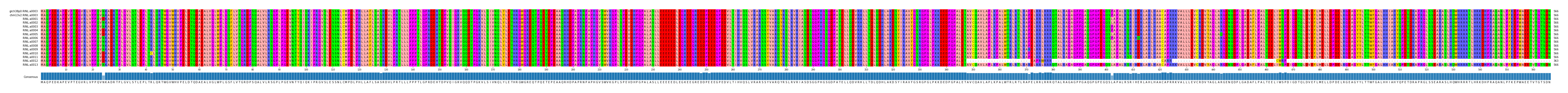 Multiple Alignments (by translate haplotype frequency)