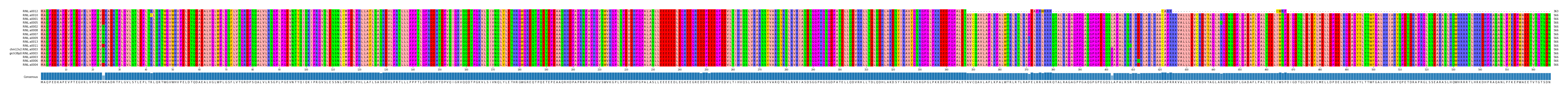 Multiple Alignments (by translate haplotype similarity)