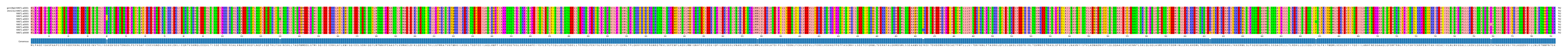 Multiple Alignments (by translate haplotype frequency)
