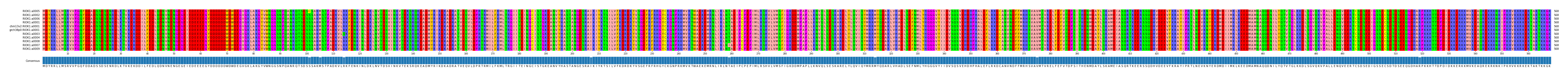 Multiple Alignments (by translate haplotype similarity)