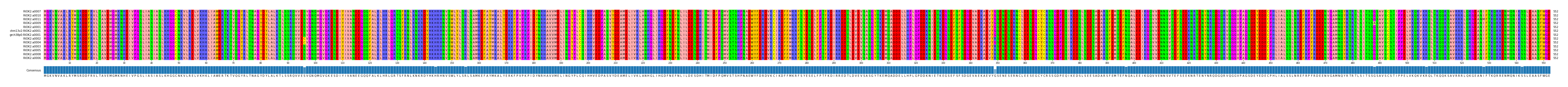 Multiple Alignments (by translate haplotype similarity)