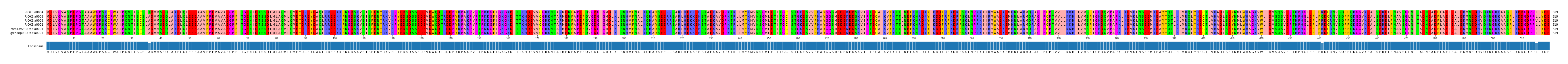 Multiple Alignments (by translate haplotype similarity)