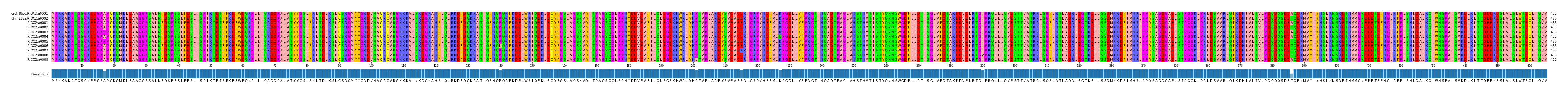 Multiple Alignments (by translate haplotype frequency)