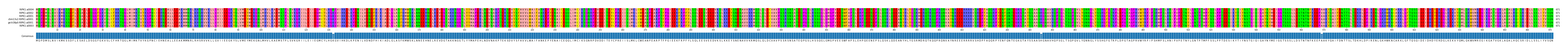 Multiple Alignments (by translate haplotype similarity)