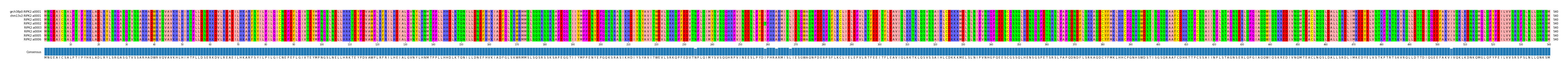 Multiple Alignments (by translate haplotype frequency)