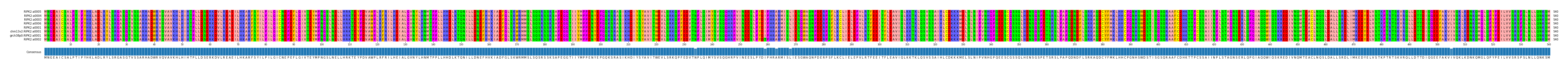 Multiple Alignments (by translate haplotype similarity)