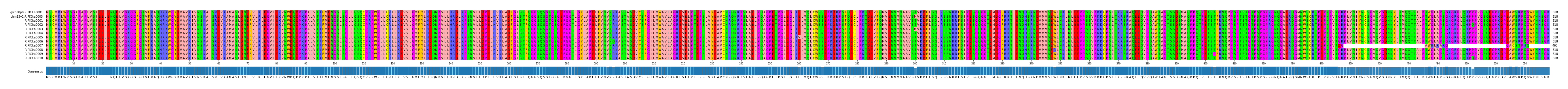 Multiple Alignments (by translate haplotype frequency)