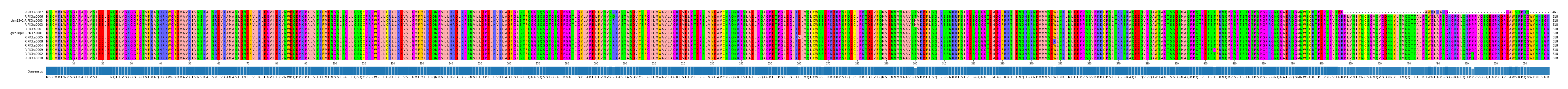 Multiple Alignments (by translate haplotype similarity)
