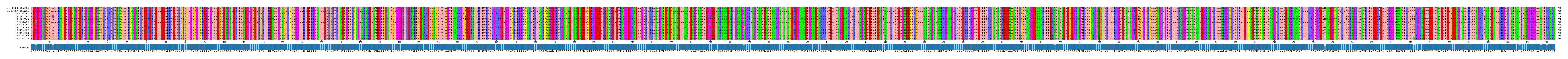 Multiple Alignments (by translate haplotype frequency)