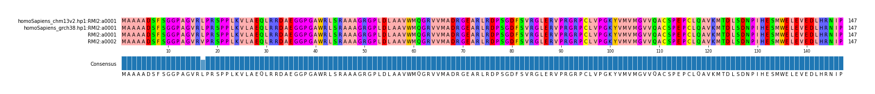 Multiple Alignments (by translate haplotype similarity)
