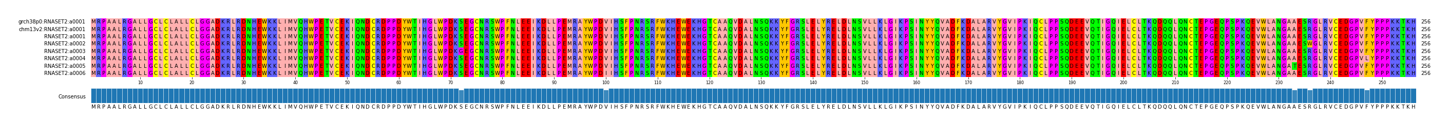 Multiple Alignments (by translate haplotype frequency)