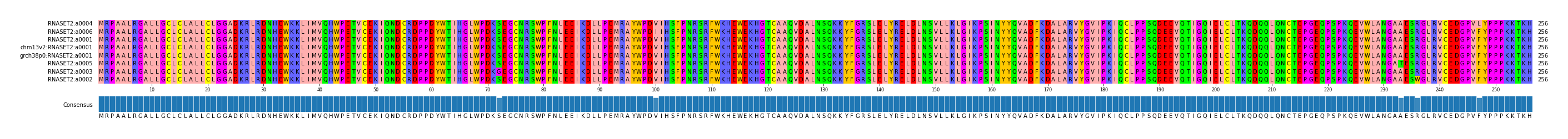 Multiple Alignments (by translate haplotype similarity)