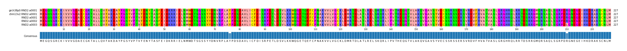 Multiple Alignments (by translate haplotype frequency)