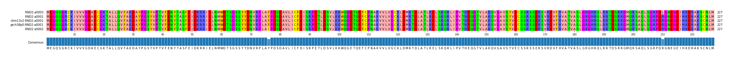 Multiple Alignments (by translate haplotype similarity)