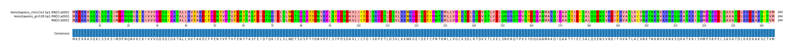 Multiple Alignments (by translate haplotype similarity)