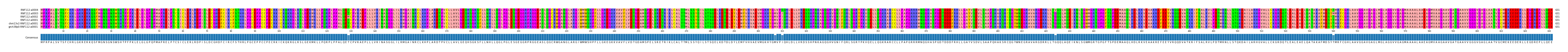 Multiple Alignments (by translate haplotype similarity)