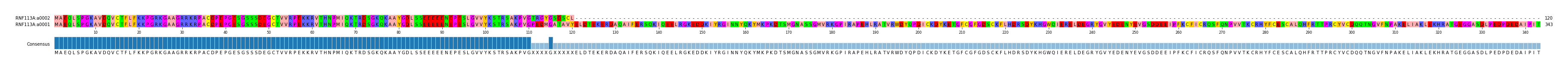 Multiple Alignments (by translate haplotype similarity)