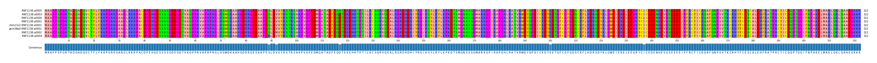Multiple Alignments (by translate haplotype similarity)