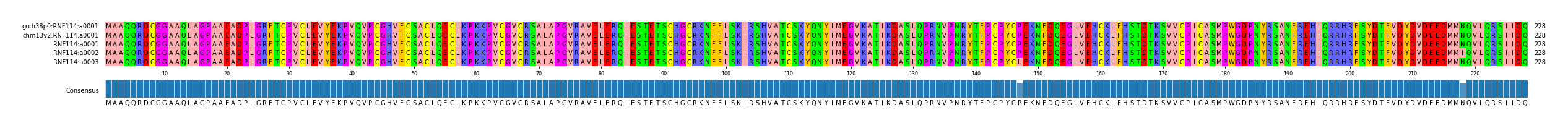 Multiple Alignments (by translate haplotype frequency)