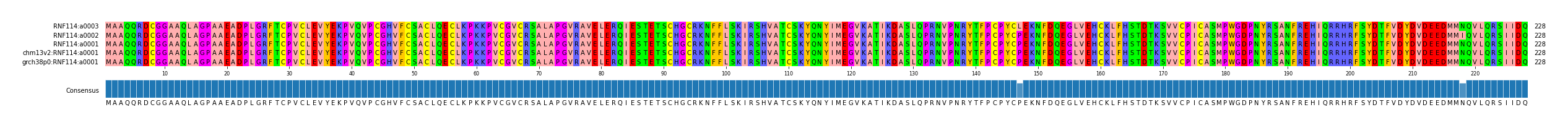 Multiple Alignments (by translate haplotype similarity)