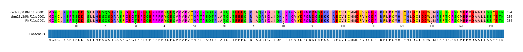 Multiple Alignments (by translate haplotype similarity)