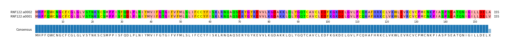 Multiple Alignments (by translate haplotype similarity)