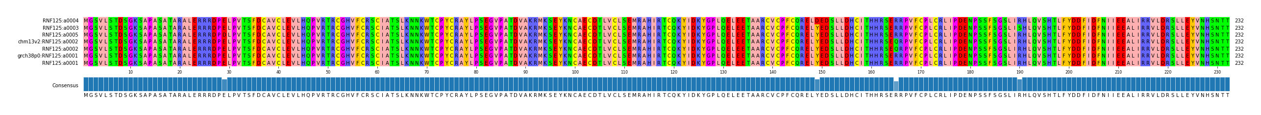 Multiple Alignments (by translate haplotype similarity)