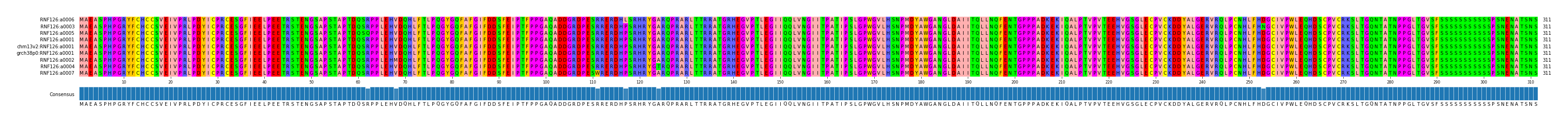 Multiple Alignments (by translate haplotype similarity)