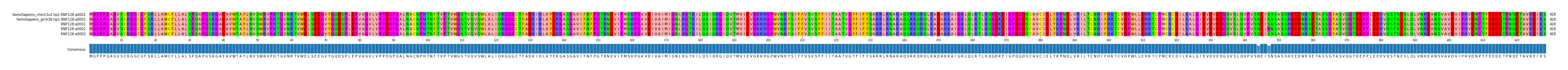 Multiple Alignments (by translate haplotype frequency)