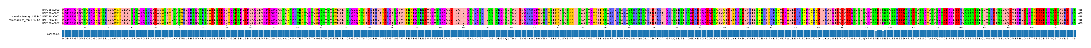 Multiple Alignments (by translate haplotype similarity)