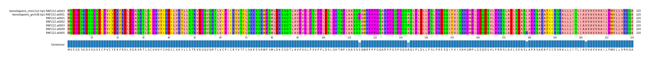 Multiple Alignments (by translate haplotype frequency)