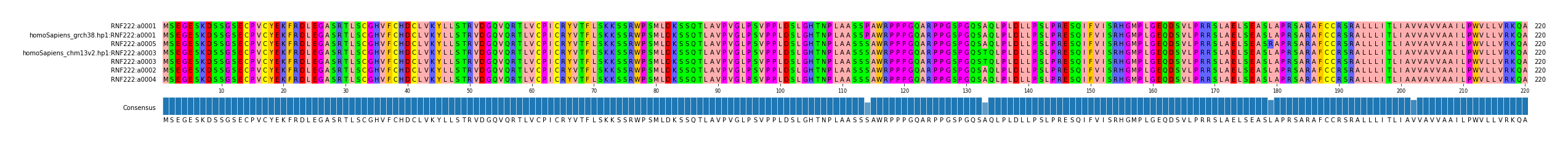 Multiple Alignments (by translate haplotype similarity)