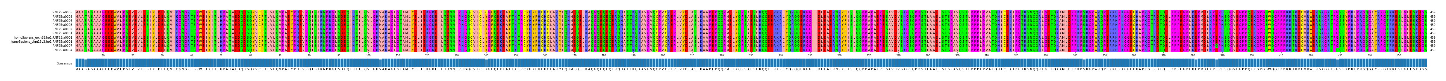 Multiple Alignments (by translate haplotype similarity)