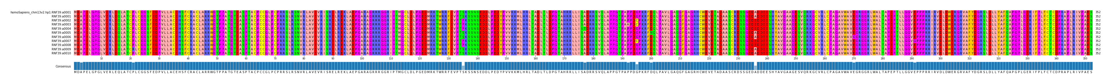 Multiple Alignments (by translate haplotype frequency)