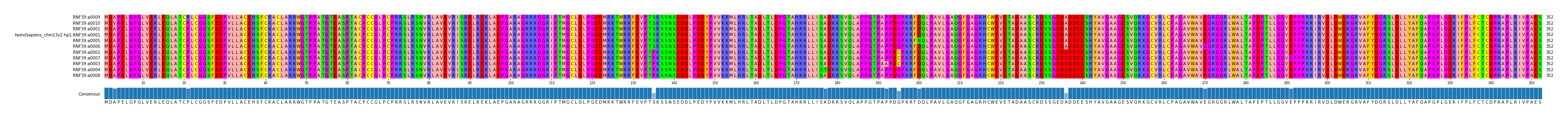 Multiple Alignments (by translate haplotype similarity)