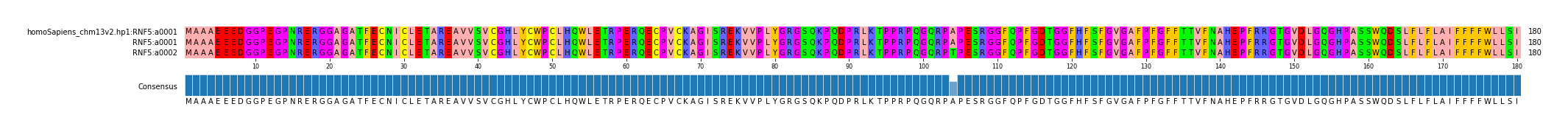 Multiple Alignments (by translate haplotype similarity)