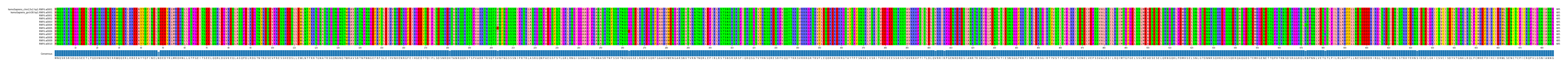 Multiple Alignments (by translate haplotype frequency)