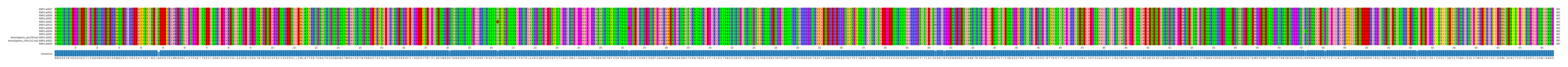 Multiple Alignments (by translate haplotype similarity)
