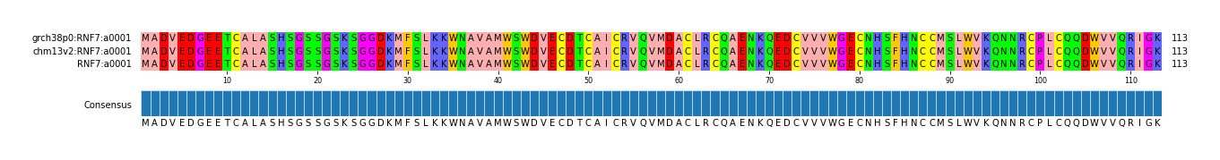 Multiple Alignments (by translate haplotype similarity)