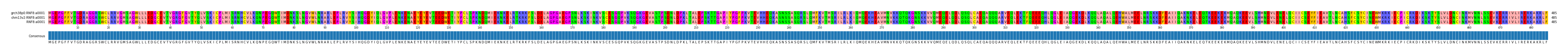 Multiple Alignments (by translate haplotype similarity)