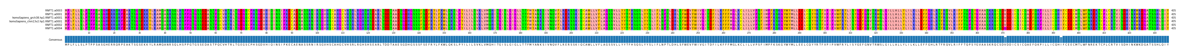 Multiple Alignments (by translate haplotype similarity)