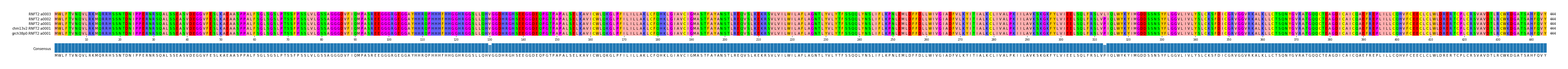 Multiple Alignments (by translate haplotype similarity)